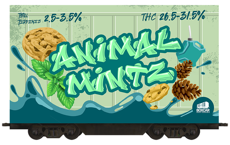 Strain-Cards_Animal Mintz 2-2