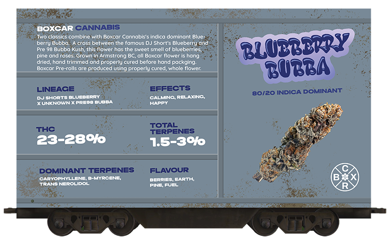 Strain-Cards_Blueberry 1-3